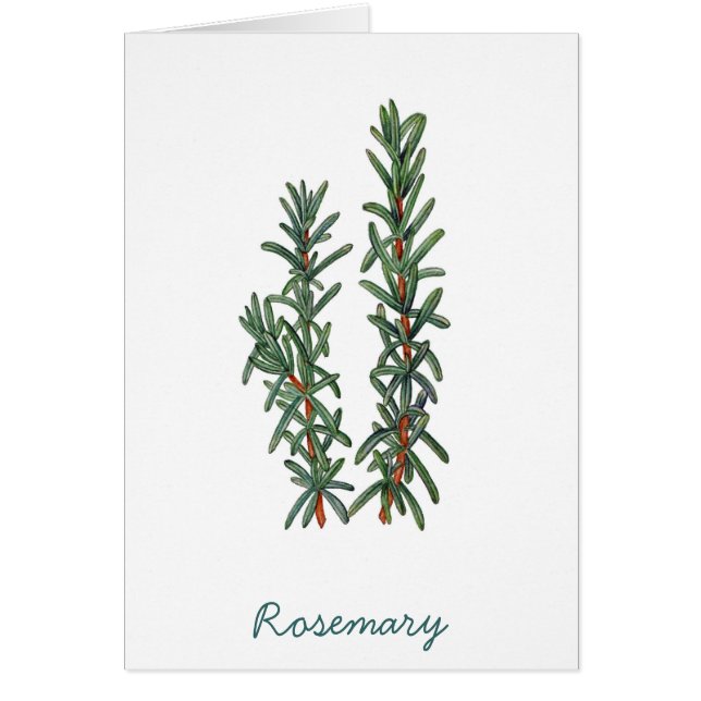 Rosemary (Devant)