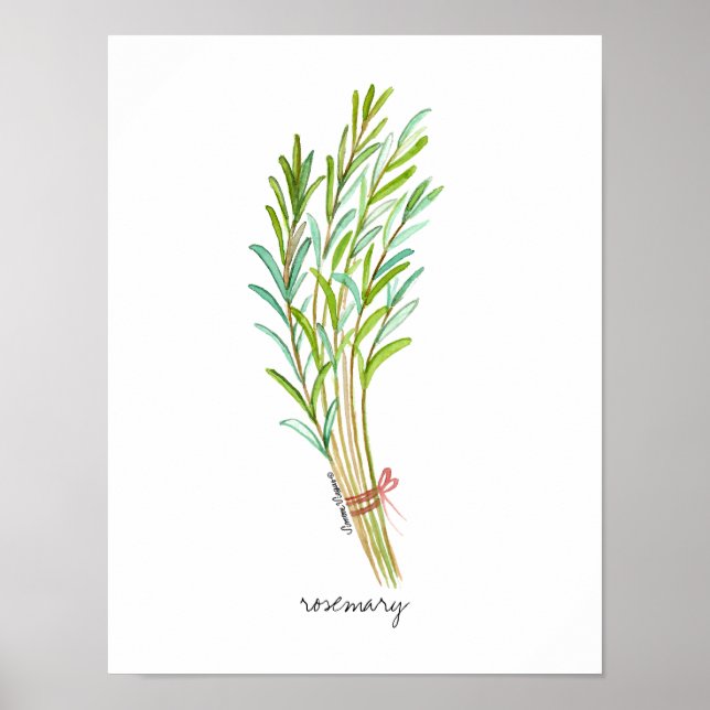 Rosemary poster (Devant)