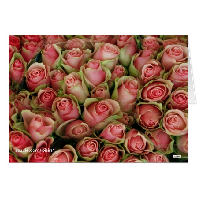 Roses (Devant horizontal)