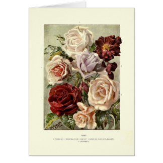 Roses