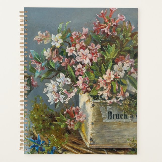 Roses alpins dans une boîte à fenêtre - Andreas La (Devant)
