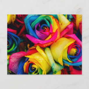 Roses arc-en-ciel Fleurs de rose paix romantique j