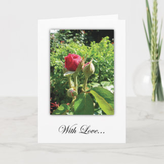Roses avec la carte de voeux d'amour