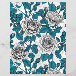 Roses blanches et coccinelles