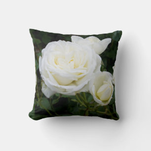 Roses blanches Photo Coussin Nature Amateurs Garde