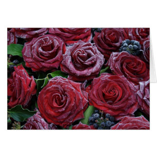 Roses congelés