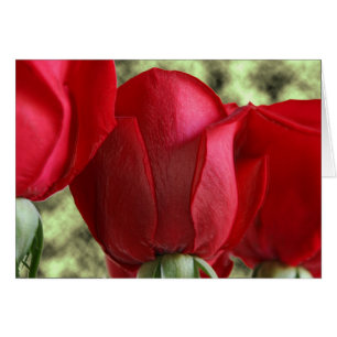 roses de bonbons