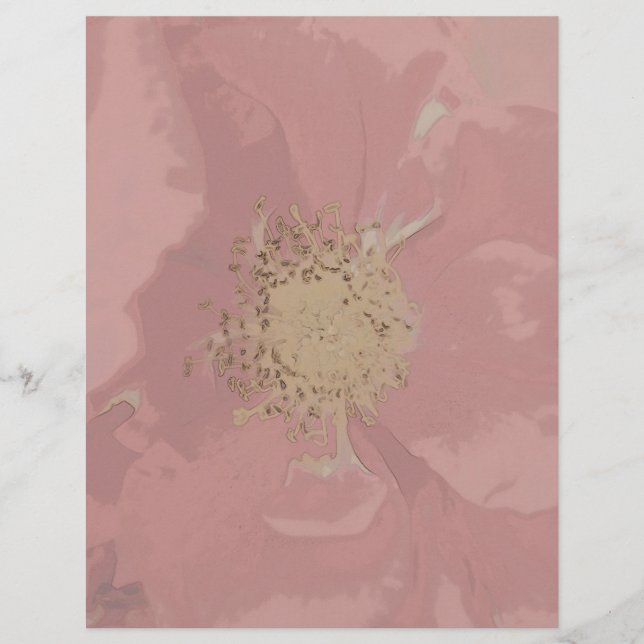 Roses de buisson DullPastel (Devant)