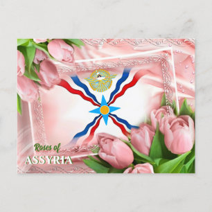 Roses de carte postale ASSYRIA