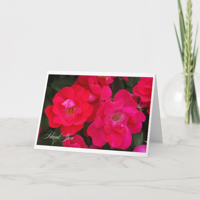 Roses de Merci (Devant)