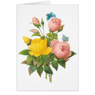 Roses de thé à la rose vintage perse par Redoute