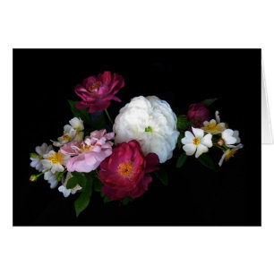 Roses démodés