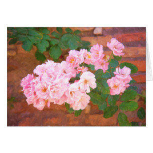 Roses en fleurs à Rome, Italie à l'intérieur vide