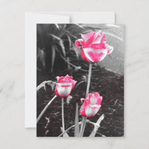 Roses en forme de larme - Conception 2