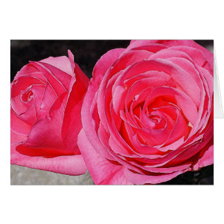 Roses Escalades roses
