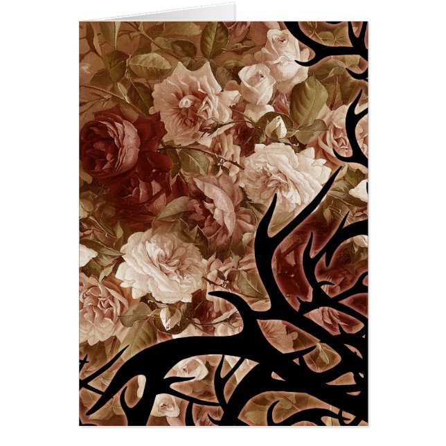 Roses Et Épines Anciens (Devant)