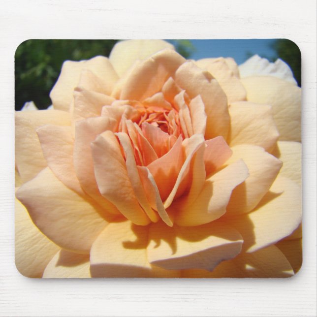 ROSES, FLEURS DE ROSE TAPIS DE SOURIS TAPIS DE SOU (Devant)
