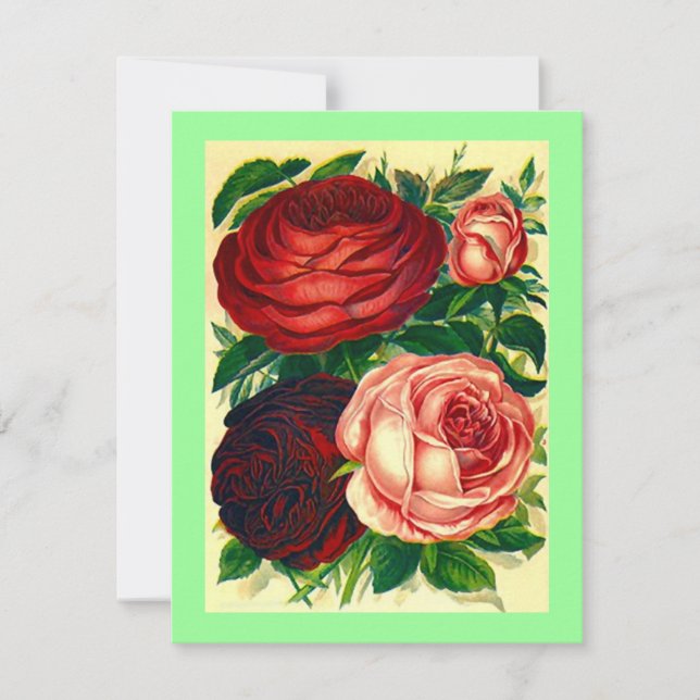 ROSES HEIRLOOM ~ JOLIS INVITATIONS DU PARTI ! (Devant)