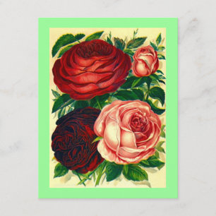 ROSES HEIRLOOM ~ JOLIS INVITATIONS DU PARTI !