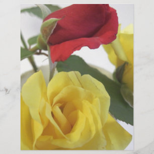 Roses jaunes et rouges