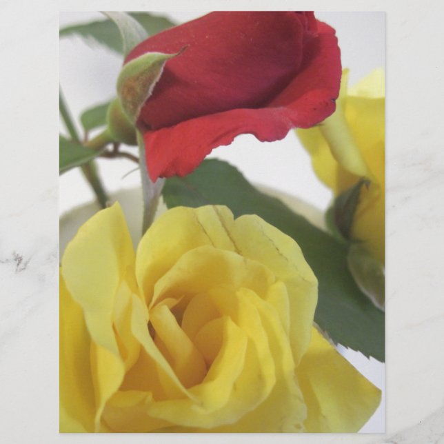 Roses jaunes et rouges (Devant)