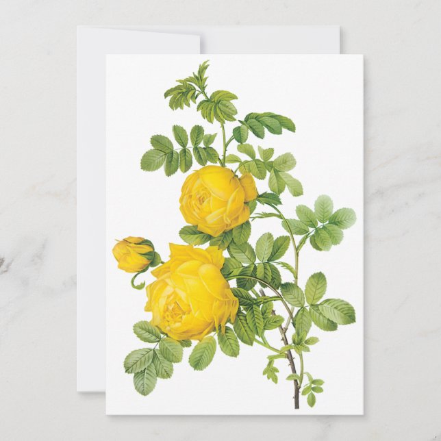 Roses Jaunes vintages par Redoute Invitation (Devant)