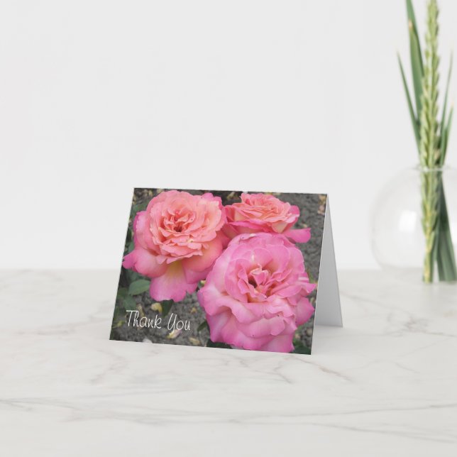 Roses - Merci (Devant)