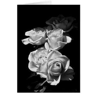Roses noires et blanches