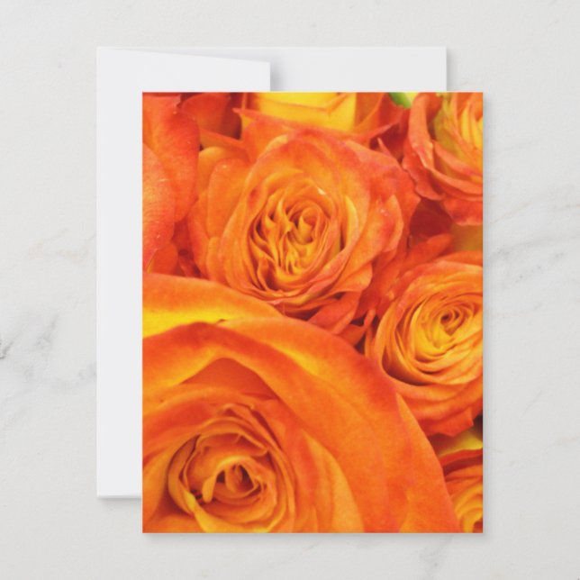 Roses orange Fire (Devant)