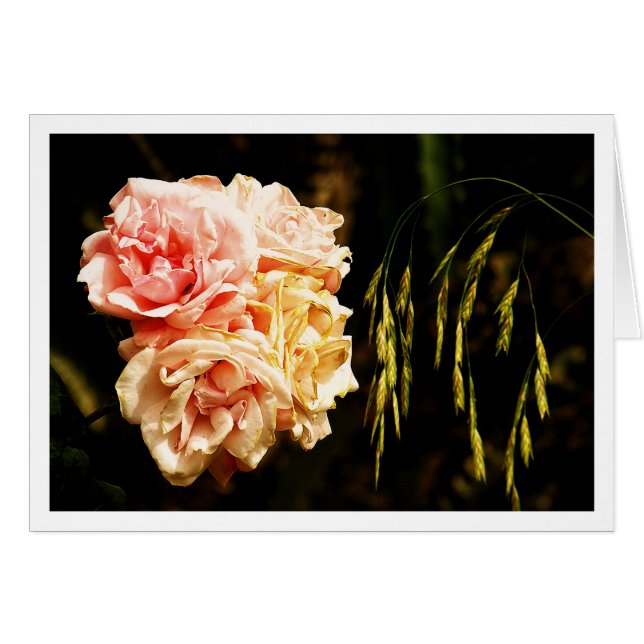 Roses pour vous (Devant horizontal)