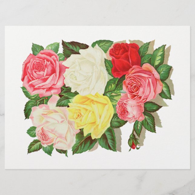 Roses Rose Blanc Jaune Rouge Fleur Floral #1 (Devant)