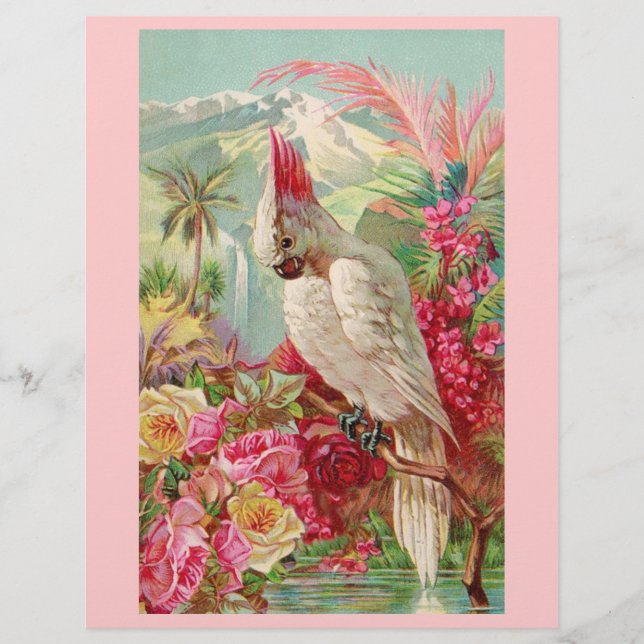 Roses roses roses Cockatoo (Devant)