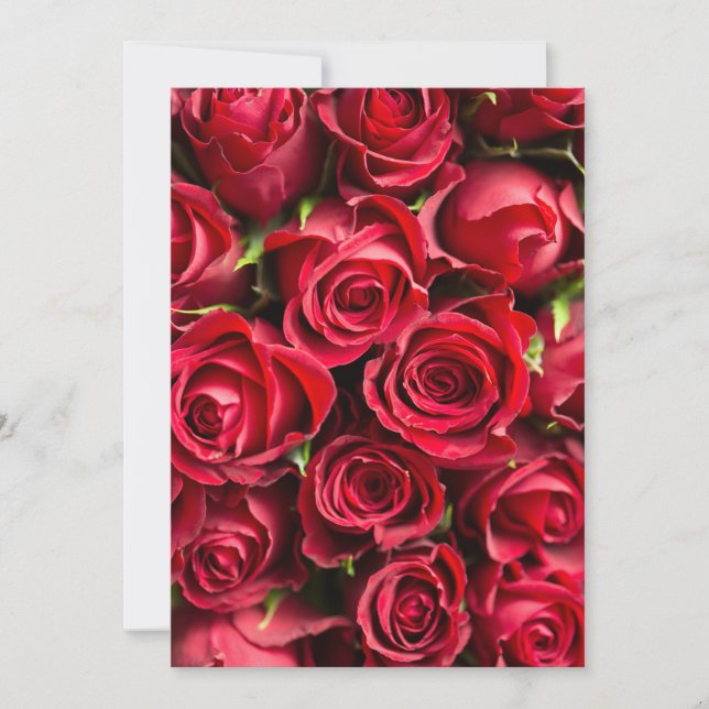 Roses rouges (Devant)