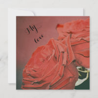 Roses rouges comme velours