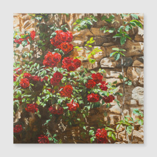 Roses rouges contre un mur de pierre