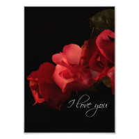 Roses rouges et roses "Je t'aime" Photo Print