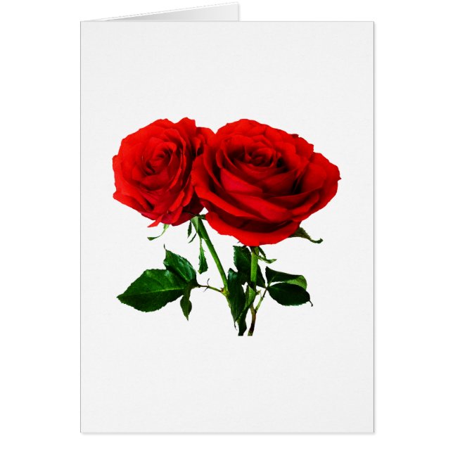Roses rouges jumeaux (Devant)
