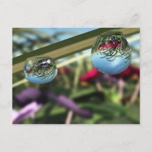 Roses sur carte postale Raindrops