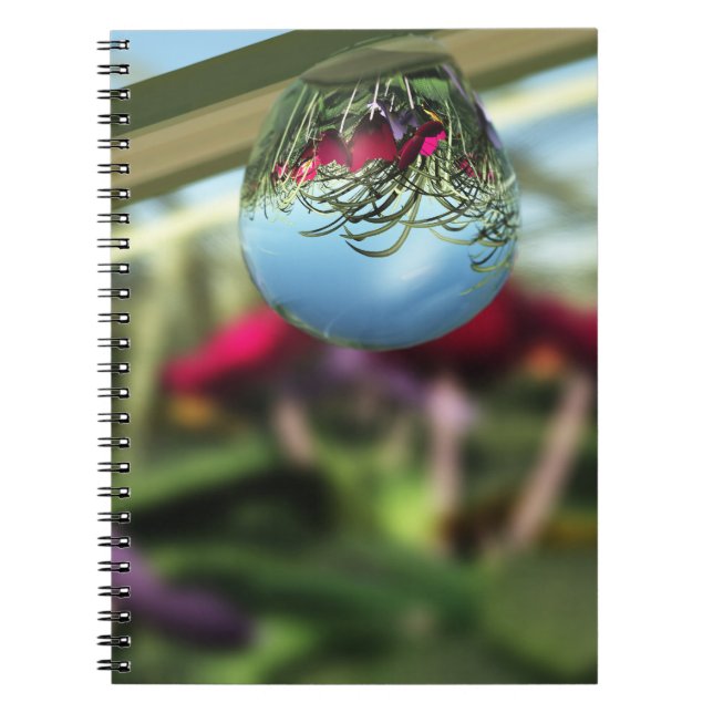 Roses sur le Carnet Raindrops (Devant)