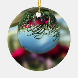 Roses sur Raindrops Ornement