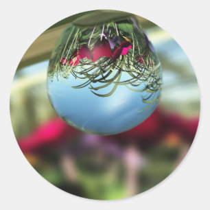 Roses sur Stickers Raindrops
