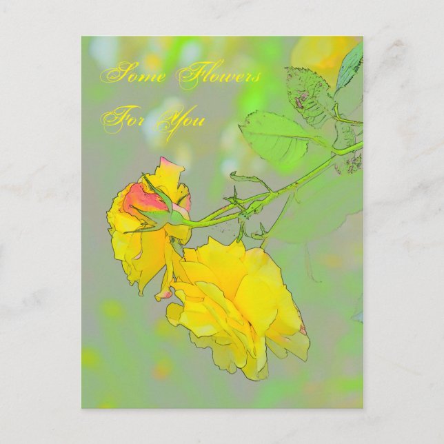 Roses, vos jolies roses ici ! Carte postale (Devant)