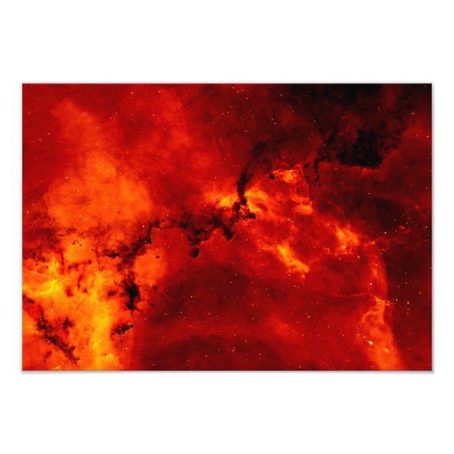 Rosette Nebula Photo (Devant)