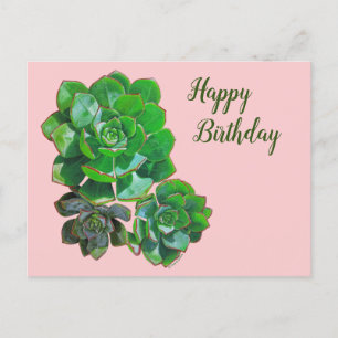 Rosette Succulente Carte postale