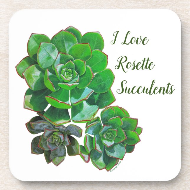 Rosette Succulents Dessous de verre en plastique (Devant)