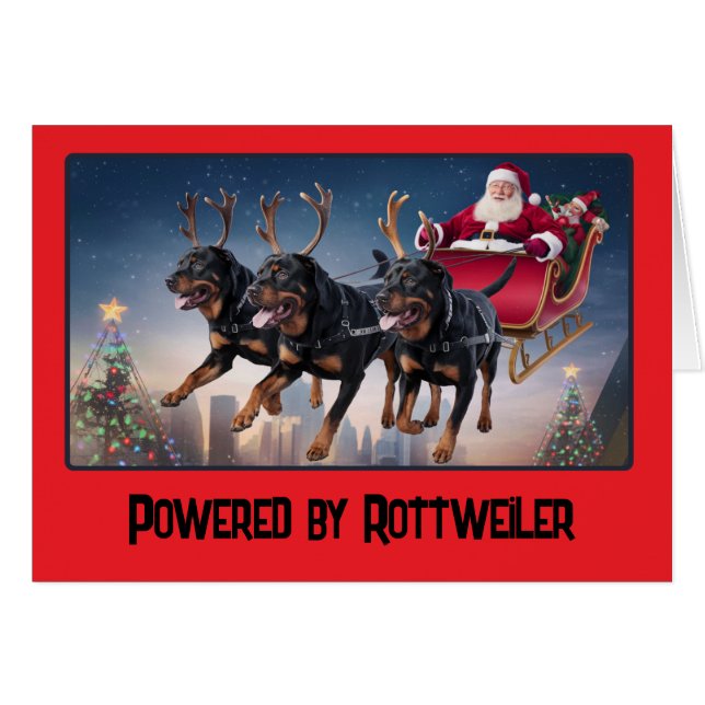 Rottweiler Reindeer (Devant horizontal)
