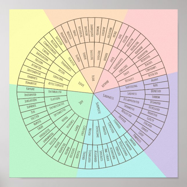 Roue d'émotions et d'émotions poster (Devant)