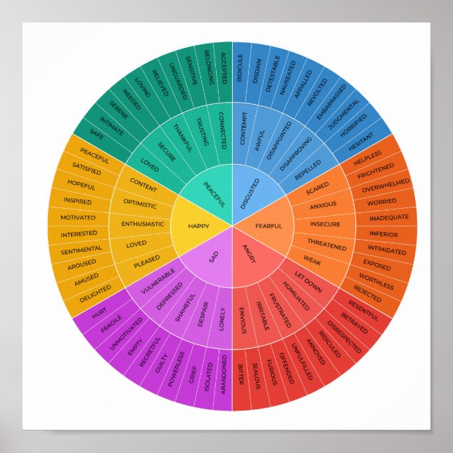 Roue des sentiments, Tableau coloré des émotions (Devant)