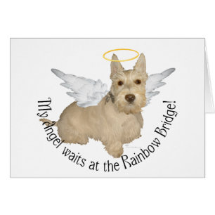 Roue Scottish Terrier Angels