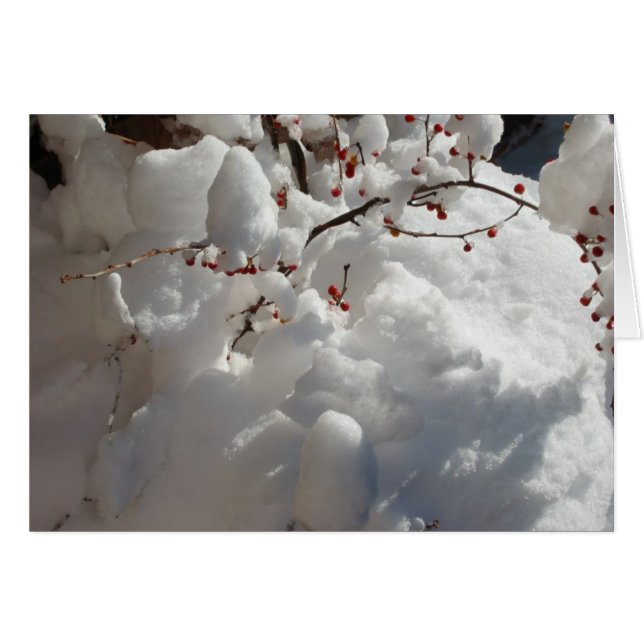 Rouge, blanc et froid (Devant Horizontal)